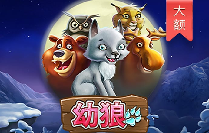 大发彩票app657
